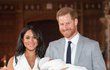 Princ Harry a Meghan