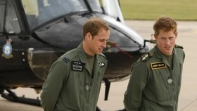 Princové William a Harry poslali rodinám padlých vojáků soustrastnou vánoční kondolenci.