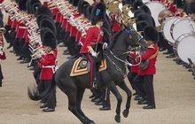 Ostuda britské armády: Williamovi zfetovali koně?!