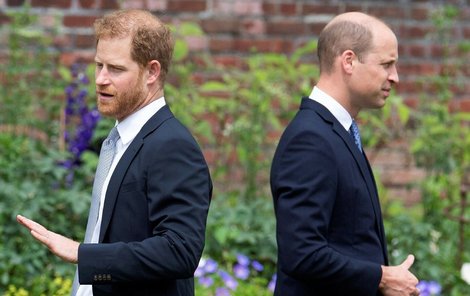 Princové Harry a William