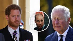 Ke krizové schůzi mezi členy královské rodiny na konci pohřbu prince Philipa nedošlo, tvrdí expert