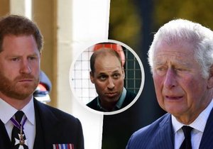 Ke krizové schůzi mezi členy královské rodiny na konci pohřbu prince Philipa nedošlo, tvrdí expert