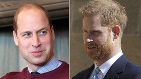 Princ William bude mít na starost královské finance. Podpoří jimi Harryho?