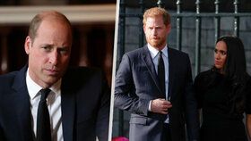Proč Harry odmítl Williamovu olivovou ratolest?