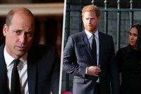 Pravda o vztahu bratrů Williama a Harryho: Místo usmíření facka! A vše kvůli Meghan?