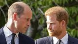 Šokující tvrzení prince Harryho: William mě napadl!