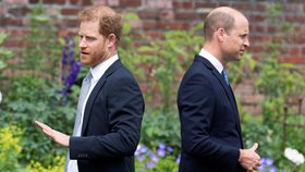 Princové Harry a William