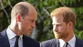 Princové Harry a William