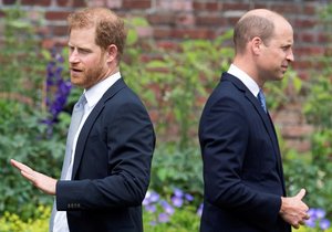 Princové Harry a William