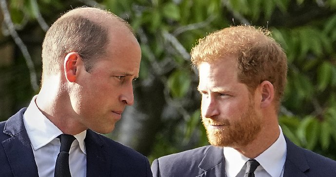 Princové Harry a William