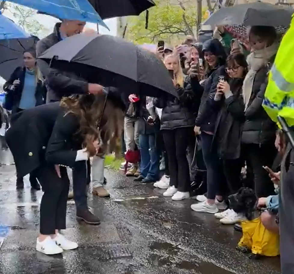 Vévodkyně Kate se rozněžnila nad kokršpanělem.