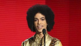 Americký zpěvák Prince (†57)