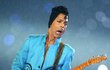 Zemřel americký zpěvák Prince (†57)