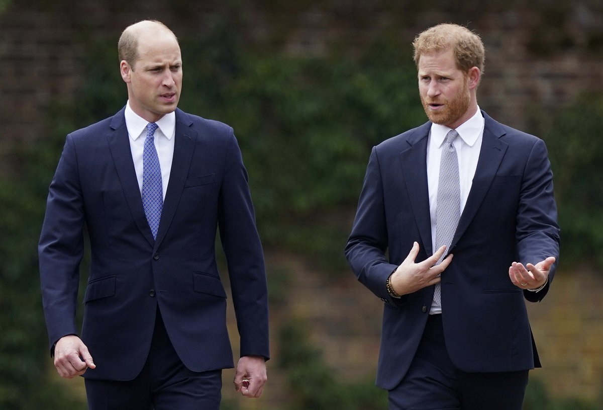 Princové William a Harry