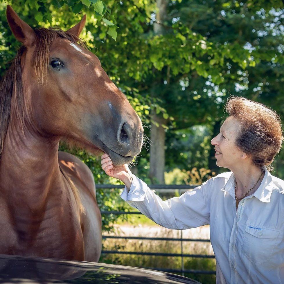 Princezna Anna miluje koně