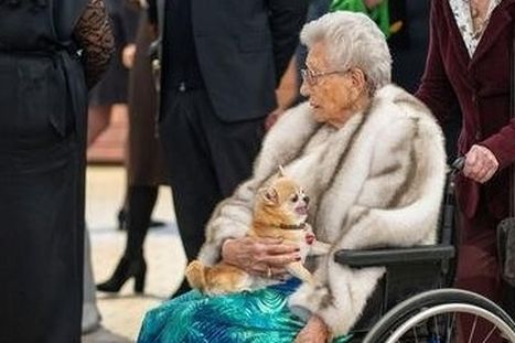 Obrázek: Norskou princeznu Astrid (†94) následovala její čivava! Další bolest...