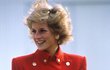 Princezna Diana Princezna Diana