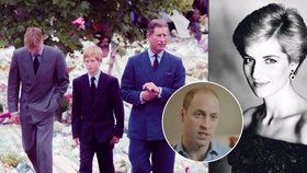Princ William věří, že Diana mu posmrtně pomáhala na vlastním pohřbu!