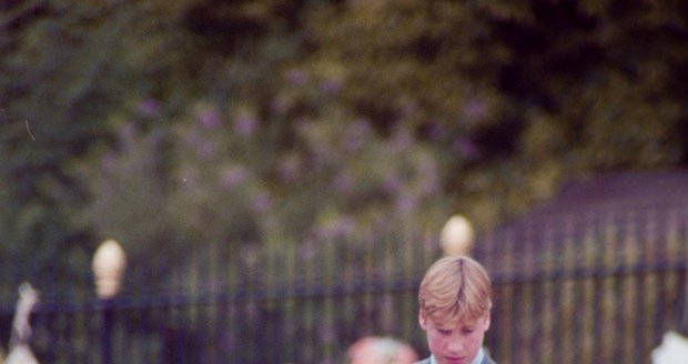 Princové William a Harry na pohřbu maminky Diany