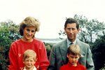 Spokojená rodina na královském portrétu?