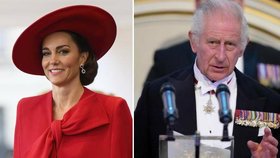 Princezna Kate z Walesu a král Karel III. čelí drsnému obvinění.
