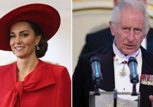 Princezna Kate z Walesu a král Karel III. čelí drsnému obvinění.