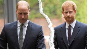 Princové Harry a William