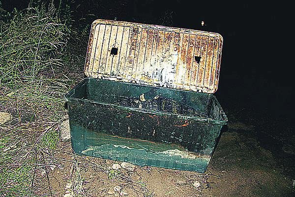 V téhle bedně se našlo tělo Marcely Sekáčové (†37).