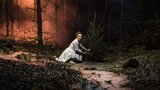 Nekácet stromy, nenahánět zvířata! Pražská kampaň „Ne! v přírodě“ upozorňuje na nevhodné chování lidí