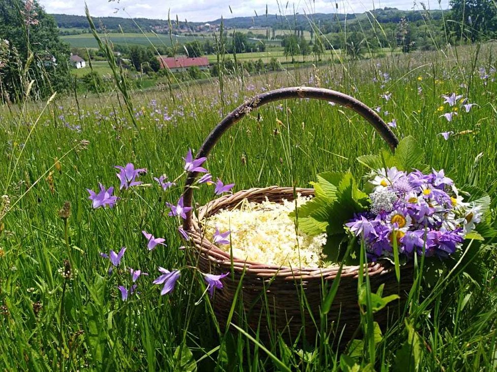 Květinářka Jana Riebe z jižních Čech žije na polosamotě a z okolní přírody umí využít úplně vše.