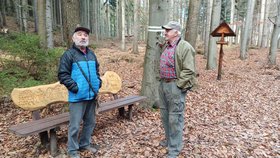 Jan (69) a Antonín (86) lezou na hoře Gírová po stromech! Staví ptačí budky i lavičky