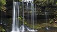 Kaskádovité vodopády Russel (Russell Falls) v Národním parku Mount Field v australské Tasmánii