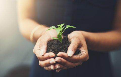 Téma udržitelnosti hýbe světem. Víte, jak se chovat k planetě zodpovědněji?