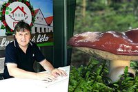 S mykologem na houbách: Klouzek proti rakovině