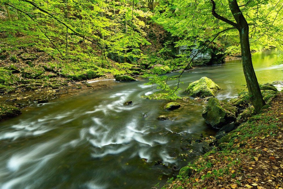 Podél řeky Metuje si projděte romantickou přírodní rezervaci Peklo.