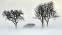 Přívaly sněhu spojené s prudkým nárazovým větrem o rychlosti přes 70 km/h vytvářejícím sněhové jazyky a takzvanou bílou tmu 15. února ztěžovaly sjízdnost silnic v kraji Vysočina. Na snímku situace u Věžnice na Jihlavsku.