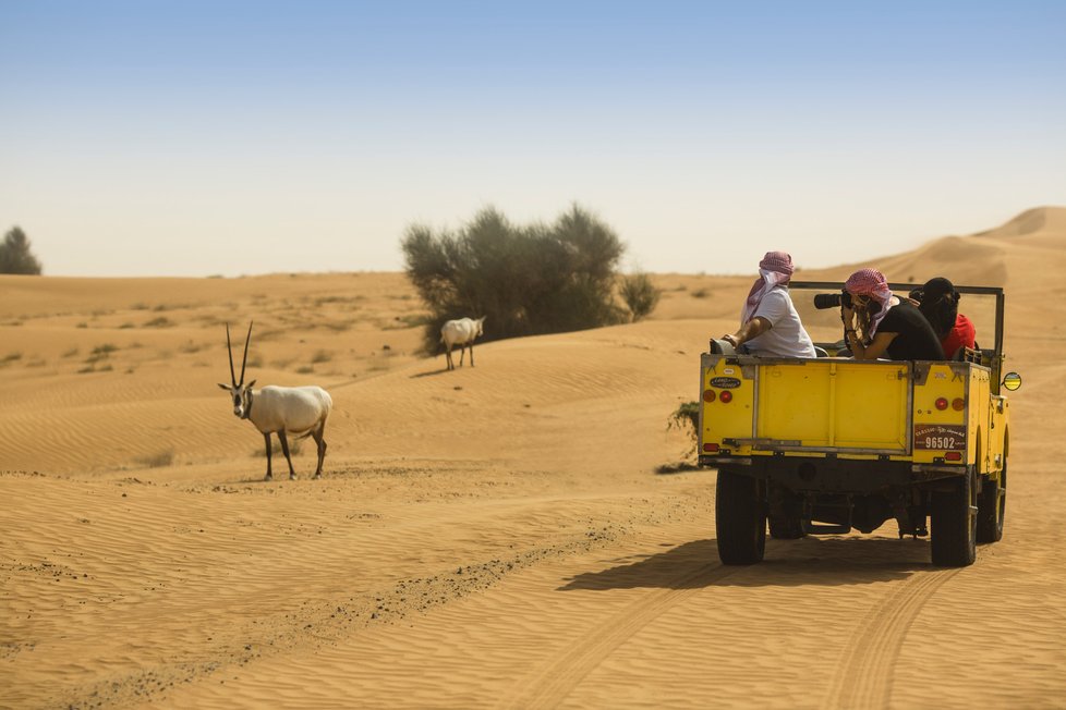 Private Desert Safaris Dubaj