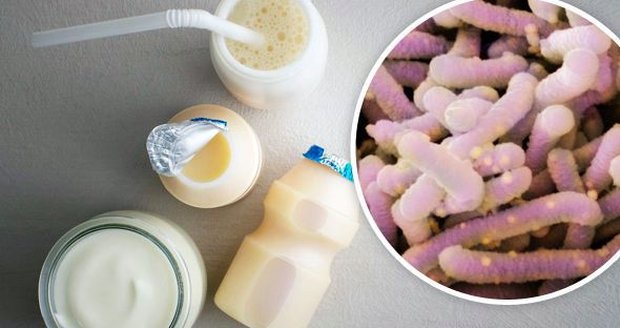 Probiotika v jogurtech jako placebo? Odbornice řekla, komu a jak pomáhají