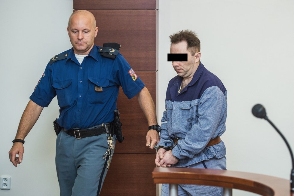 Václav M. byl odsouzen na 18 let do vězení