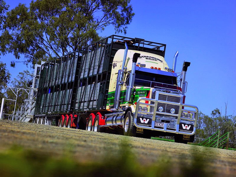 Western Star 4800