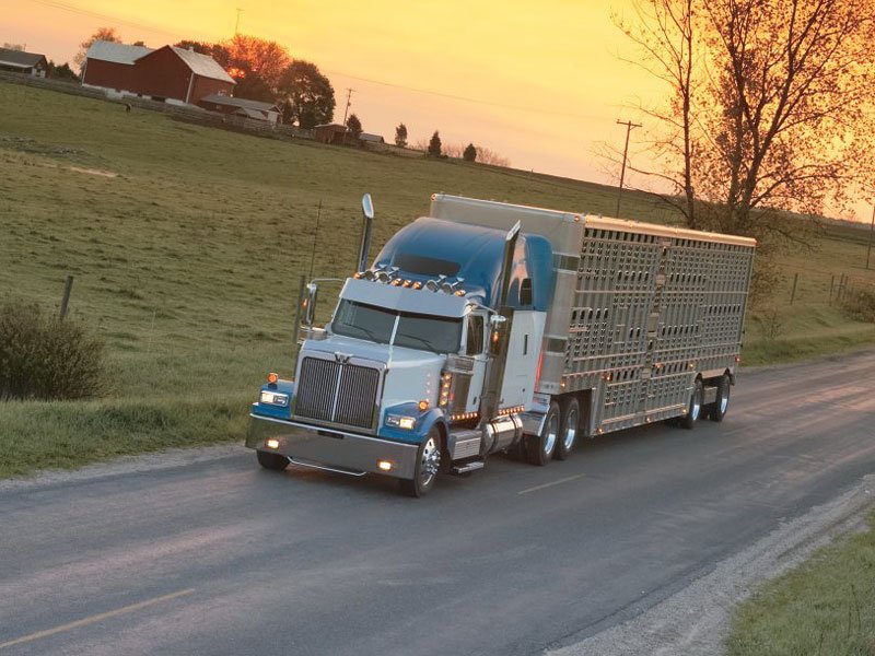 Western Star 4900