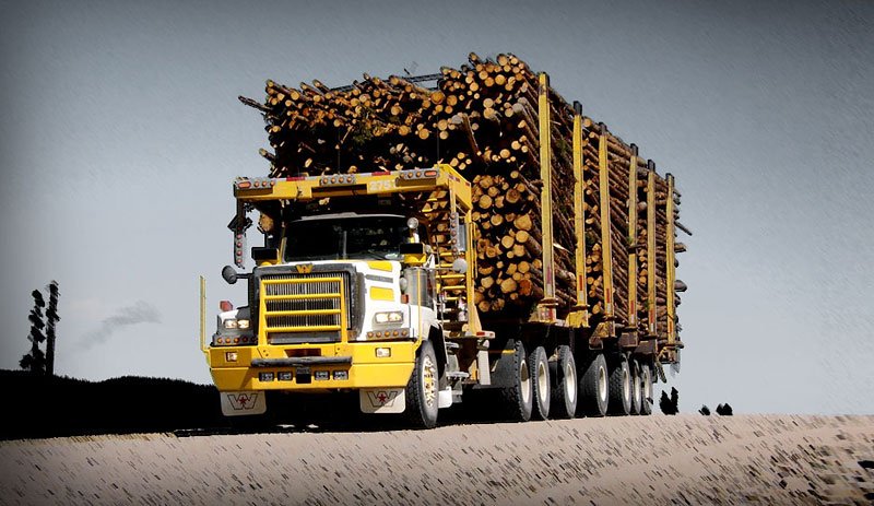 Western Star 6900