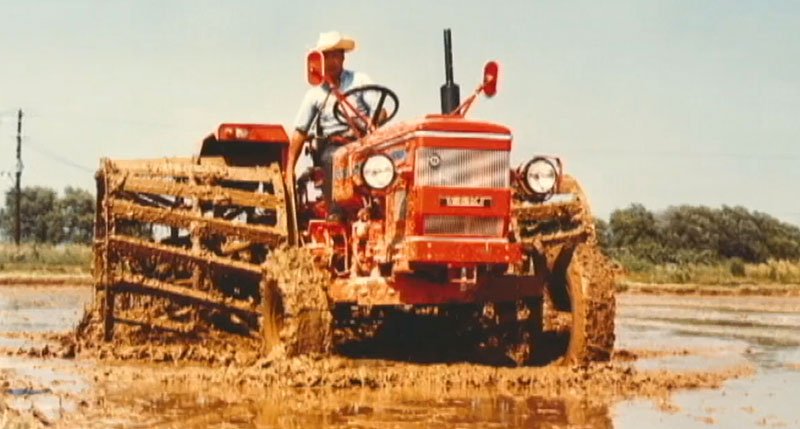 Zetor