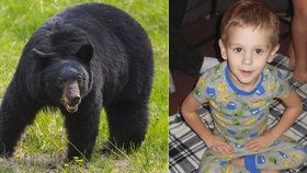 Kluk (3) tvrdí, že ho v lese ochránil medvěd černý.