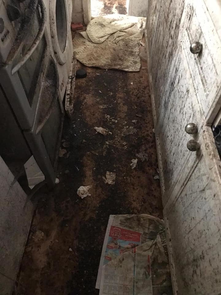 Dům jako z hororu: Nechutné špinavé pokoje uklízečky proměnily k nepoznání