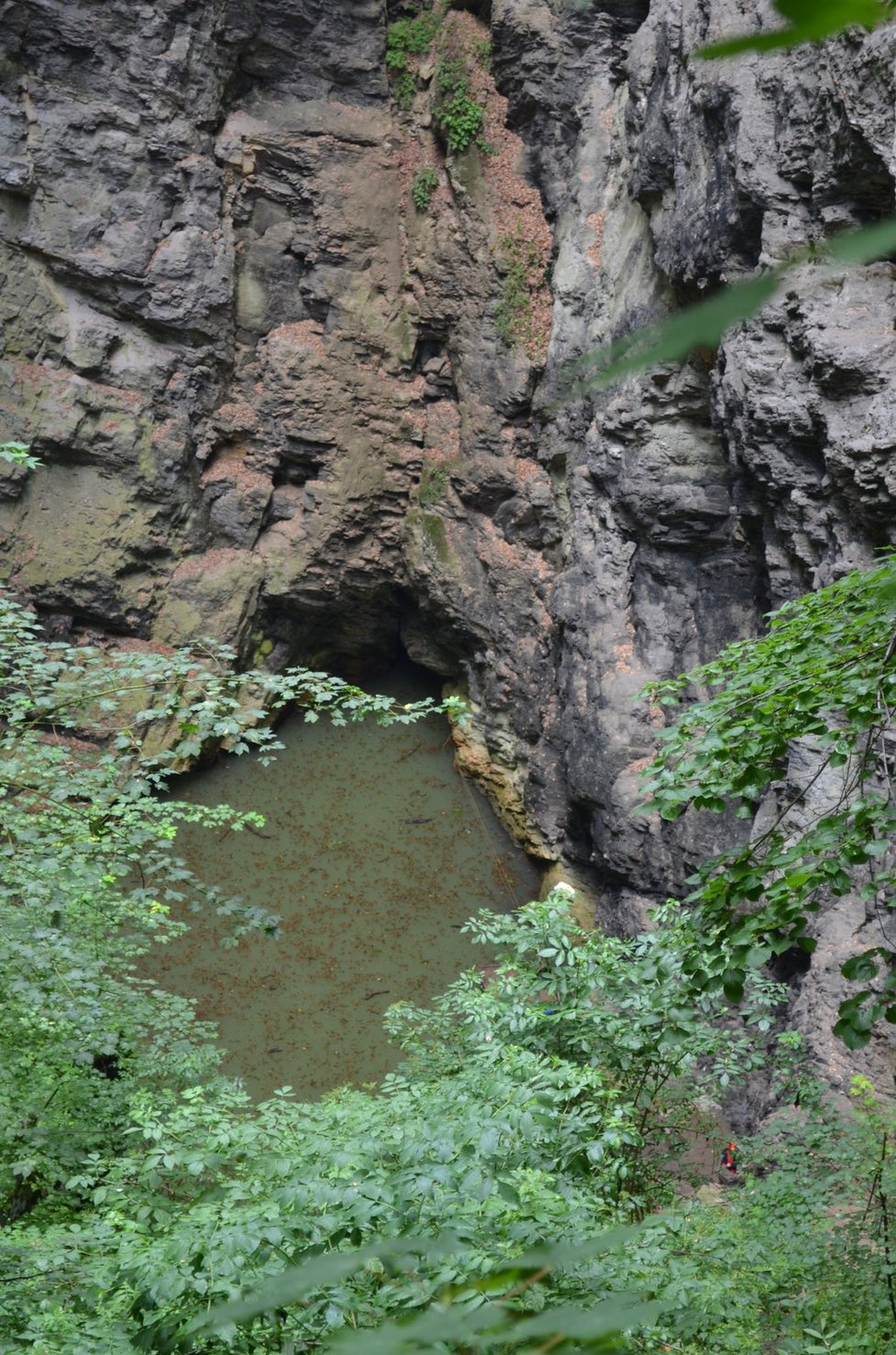 Hranická propast se nachází v přírodní rezervaci Hůrka u Hranic.