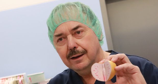 Přednosta Urologické kliniky FN Brno Dalibor Pacík předvádí na modelu, jak vypadá prostata.
