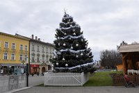Tradičně trochu našikmo: Vánoční strom v Prostějově opět nestojí rovně
