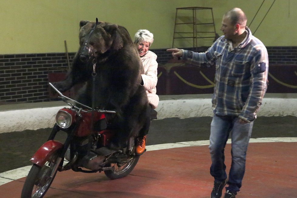 Ve VIP Prostřeno! se tentokrát bude opavdu na co dívat!