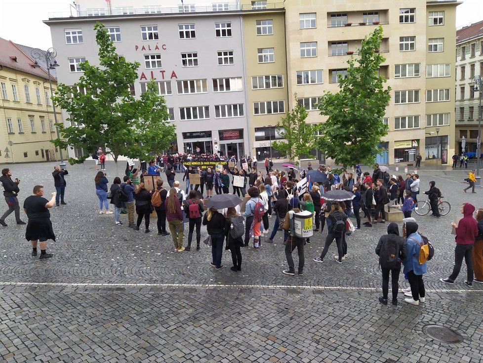 V Brně se v sobotu uskutečnila protestní akce  na podporu hnutí Black Lives Matter v USA. Nesouhlas s ní vyjádřili Slušní lidé, vše se obešlo bez potyček.